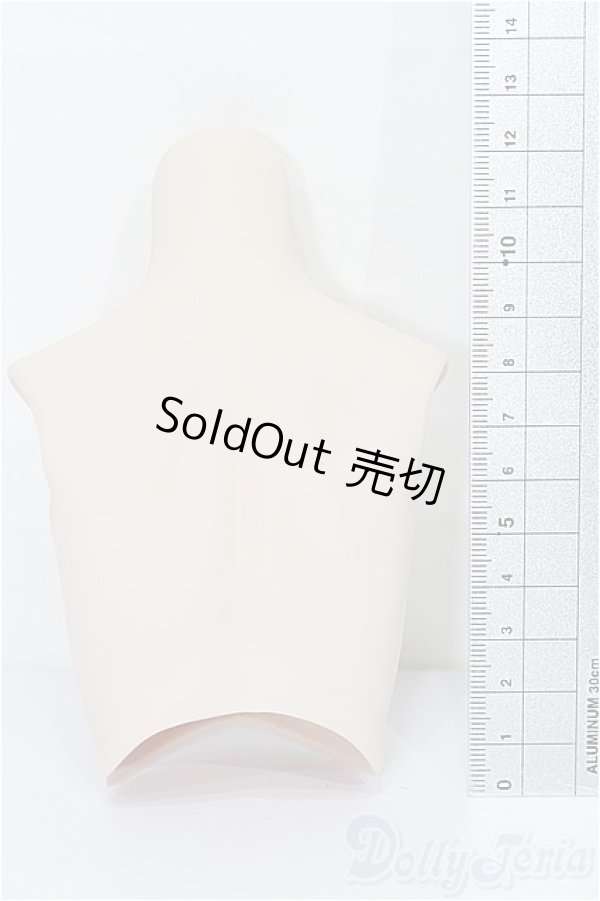 画像2: DD/上半身パーツ S-25-11-30-254-TO-ZS (2)