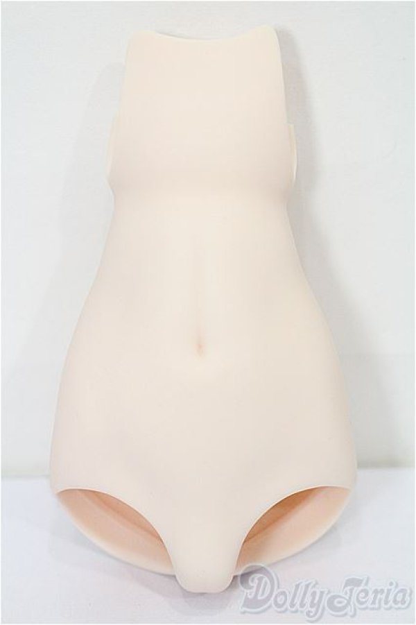 画像1: DD/下半身パーツ S-25-11-30-255-TO-ZS (1)