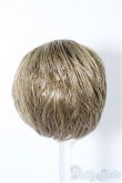 画像2: 5inch/ウィッグ S-25-11-30-281-TO-ZS (2)