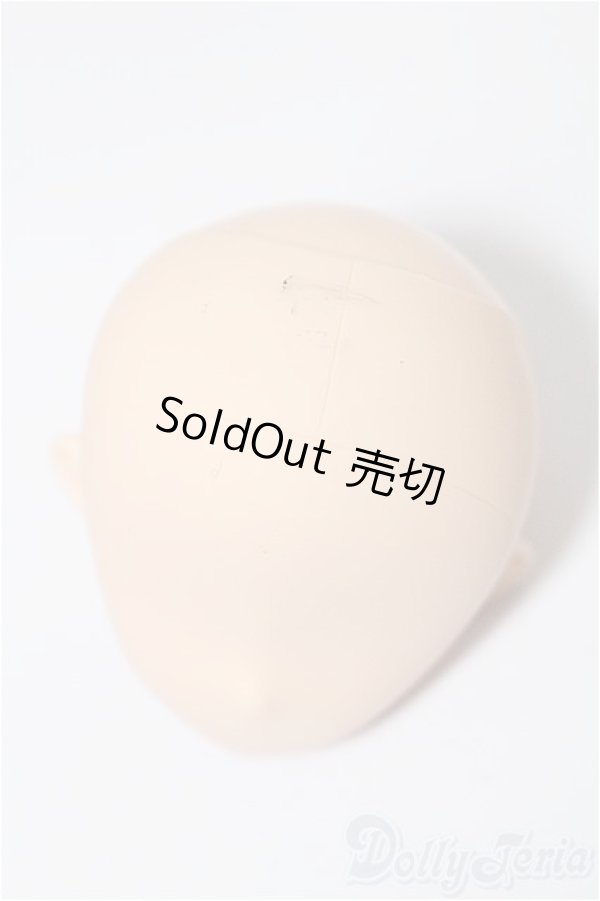 画像3: PARABOX/5inch サイズヘッド + 2点セット S-26-01-25-406-YB-ZS (3)