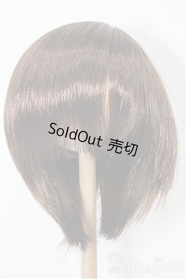 画像1: 8.5-9inch/ウィッグ S-26-01-11-388-YB-ZS (1)