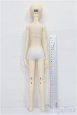 画像6: MYOU DOLL/Aron S-25-12-07-053-TO-ZS (6)