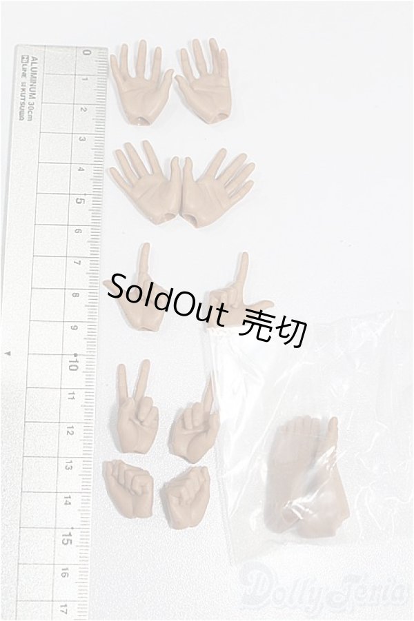 画像3: 六分の一男子図鑑/OF:小物 S-25-12-07-099-TO-ZS (3)