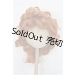 画像: 9-10inch/ウィッグ S-25-12-07-119-TO-ZS