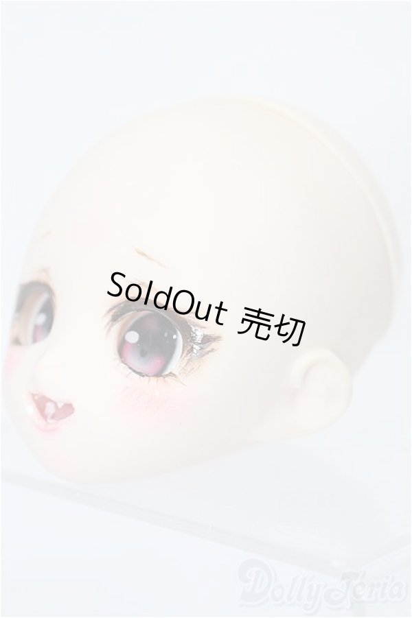 画像2: PARABOX/PB-6006Bヘッドのみ S-25-12-07-253-TO-ZS (2)