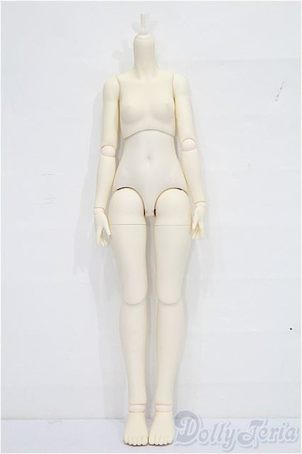 画像1: tinyfox 1/4　ボディ S-25-12-14-070-TO-ZS (1)