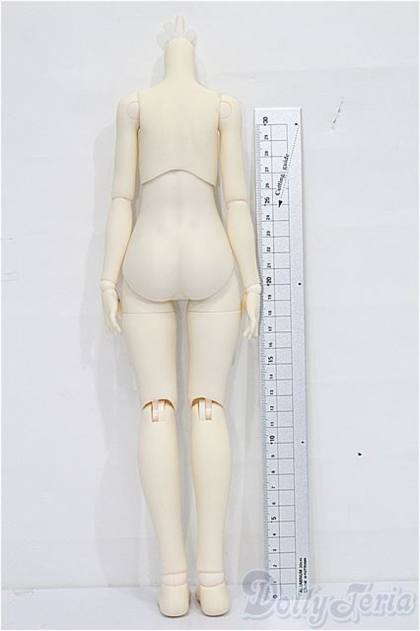 画像2: tinyfox 1/4　ボディ S-25-12-14-070-TO-ZS (2)