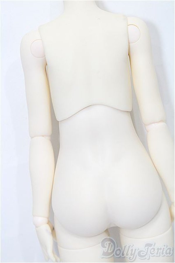 画像3: tinyfox 1/4　ボディ S-25-12-14-070-TO-ZS (3)