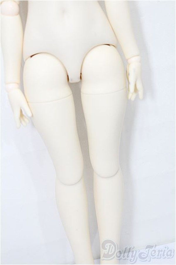 画像4: tinyfox 1/4　ボディ S-25-12-14-070-TO-ZS (4)