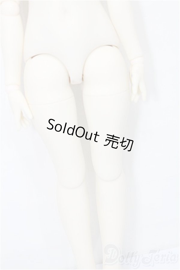 画像4: tinyfox 1/4　ボディ S-25-12-14-070-TO-ZS (4)