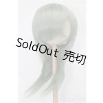 画像: 8-9inch/ウィッグ S-25-12-14-121-TO-ZS