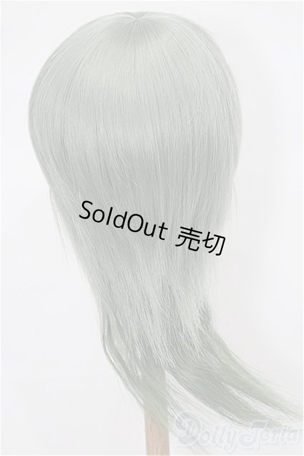 画像2: 8-9inch/ウィッグ S-25-12-14-121-TO-ZS (2)