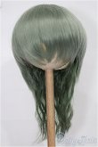 画像1: 8-9inch/ウィッグ S-25-12-14-122-TO-ZS (1)