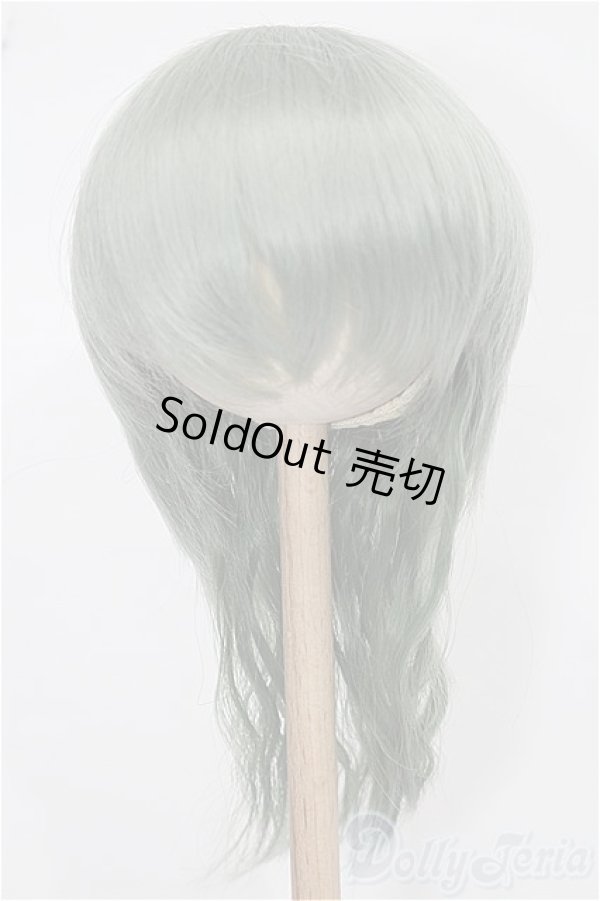 画像1: 8-9inch/ウィッグ S-25-12-14-122-TO-ZS (1)