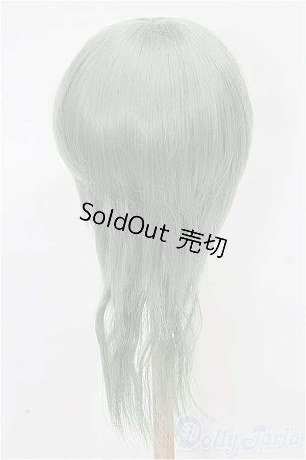 画像2: 8-9inch/ウィッグ S-25-12-14-122-TO-ZS (2)