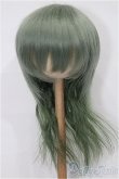 画像1: 8-9inch/ウィッグ S-25-12-14-120-TO-ZS (1)
