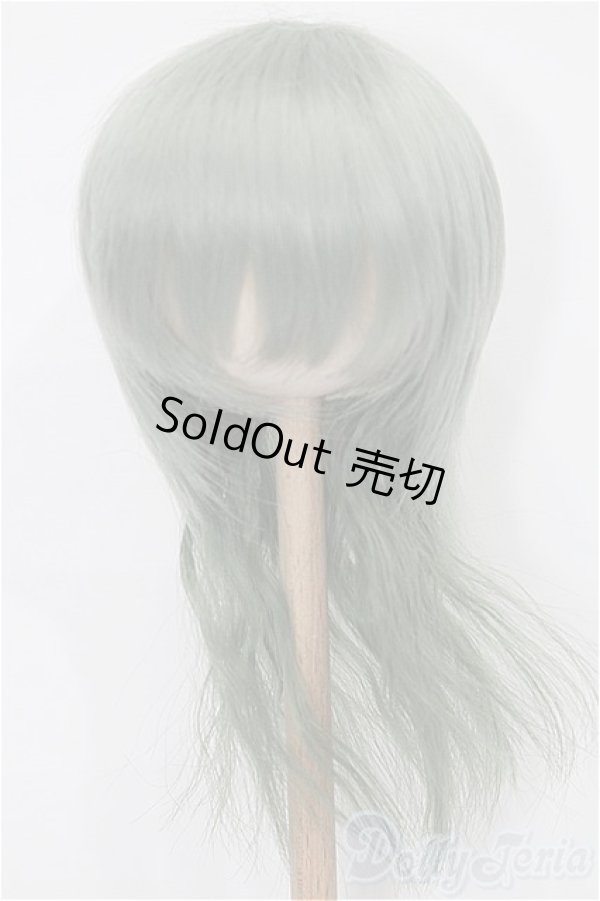 画像1: 8-9inch/ウィッグ S-25-12-14-120-TO-ZS (1)