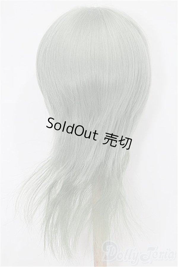 画像2: 8-9inch/ウィッグ S-25-12-14-120-TO-ZS (2)