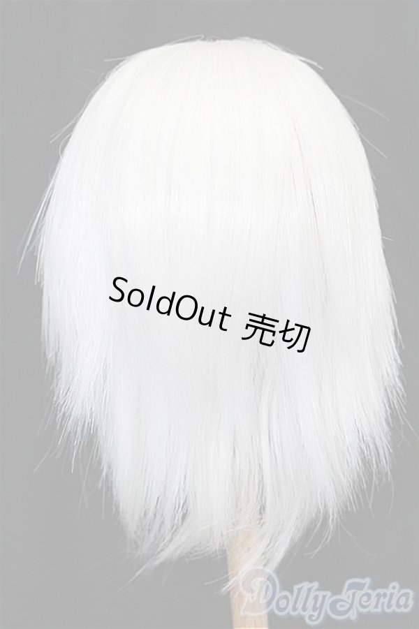 画像2: 8-9inch/ウィッグ S-25-12-14-249-TO-ZS (2)