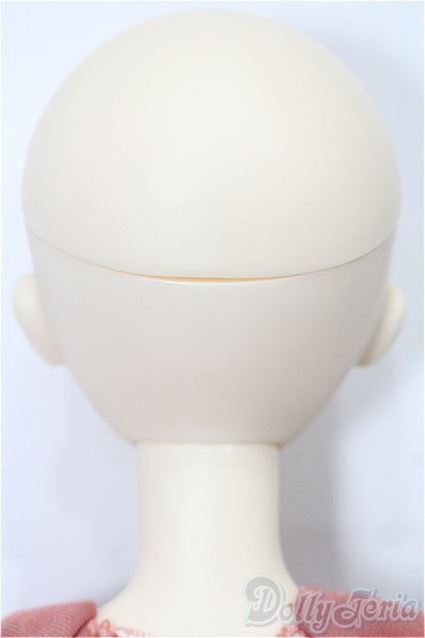 画像5: Blue Fairy/Tiny Fairy本体 S-25-12-21-103-TO-ZS (5)