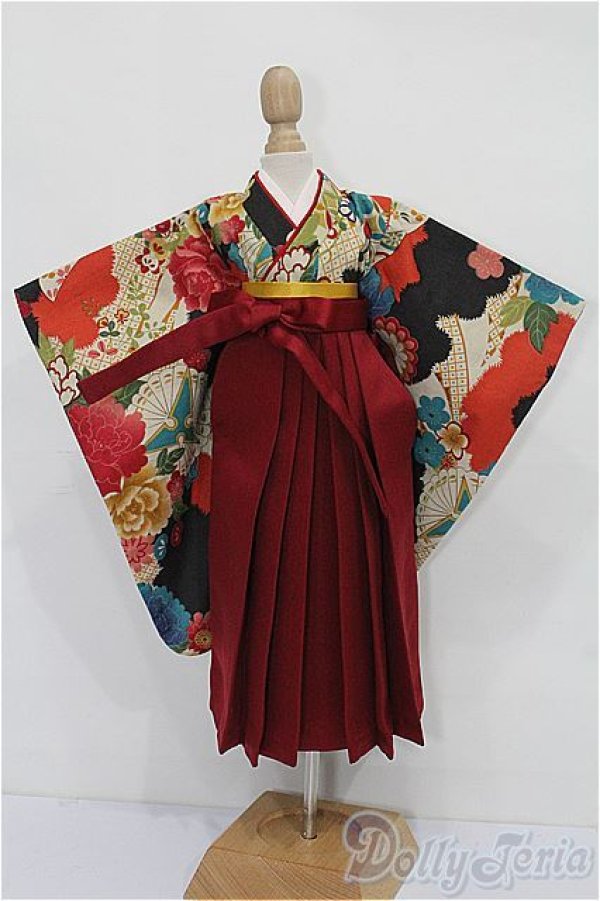 画像1: SDM＆MSD/OF:袴セット S-25-12-14-103-TO-ZS (1)