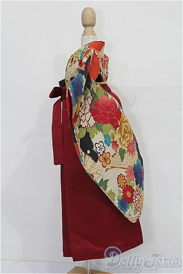 画像2: SDM＆MSD/OF:袴セット S-25-12-14-103-TO-ZS (2)