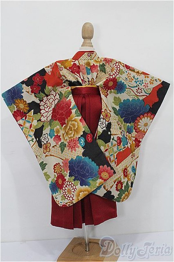 画像3: SDM＆MSD/OF:袴セット S-25-12-14-103-TO-ZS (3)