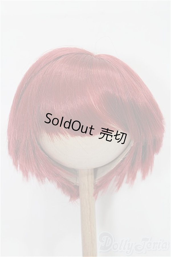 画像1: 9-10inch/ウィッグ S-25-12-14-128-NY-ZS (1)