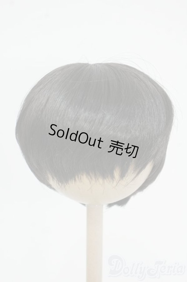 画像1: 8inch/ウィッグ Y-25-12-17-059-NY-ZY (1)