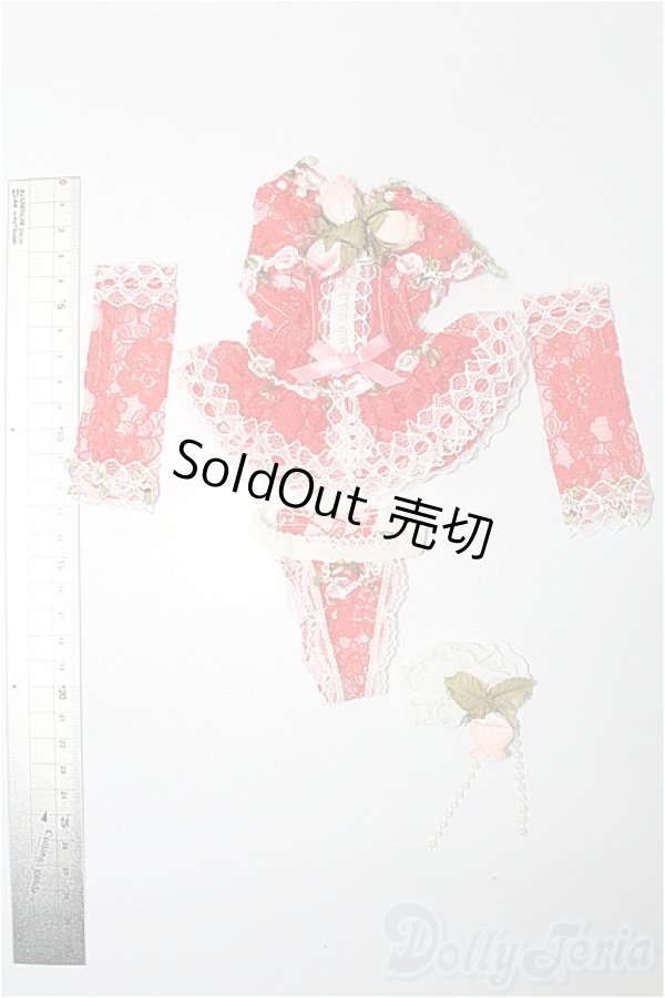 画像5: SDM＆MSD/OF:下着 S-26-02-01-333-TO-ZS (5)