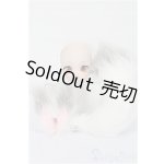 画像: DD/DC-H-30ヘッド S-25-12-21-139-TO-ZS