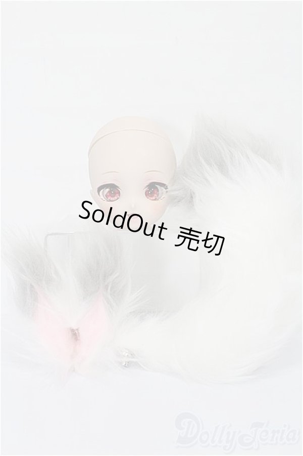 画像1: DD/DC-H-30ヘッド S-25-12-21-139-TO-ZS (1)