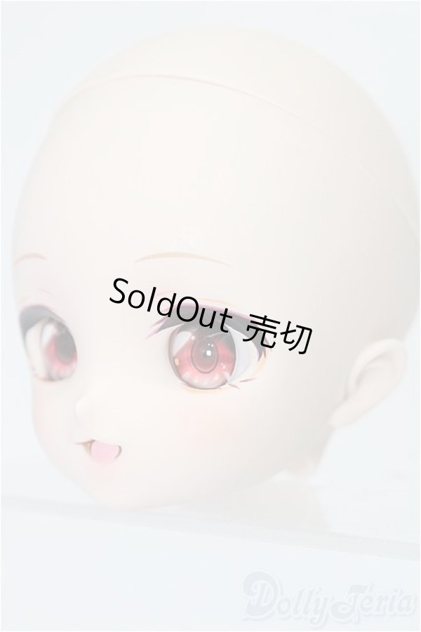 画像3: DD/DC-H-30ヘッド S-25-12-21-139-TO-ZS (3)