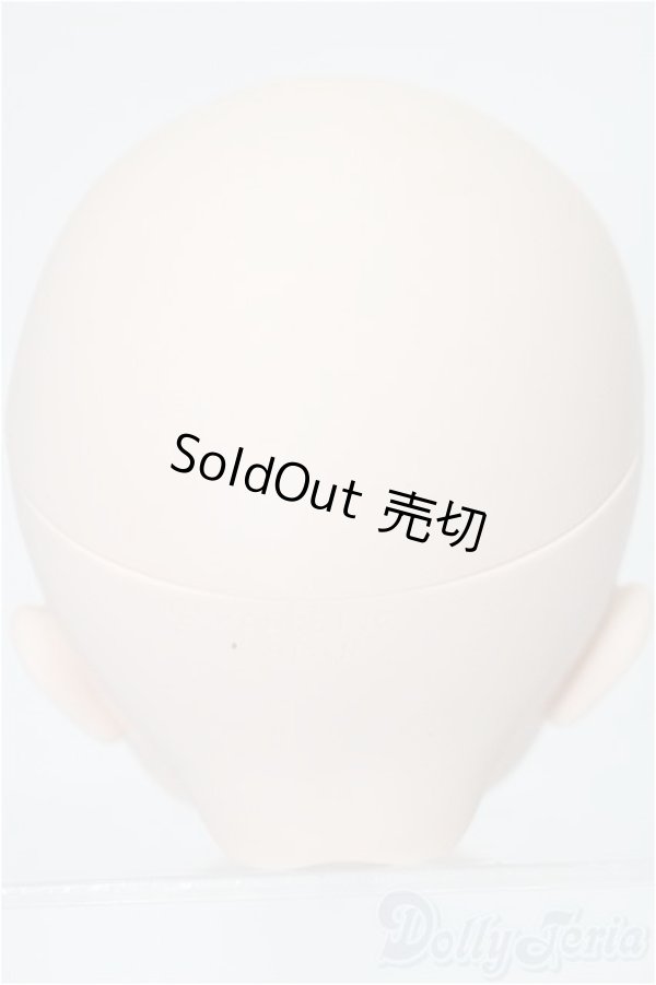 画像5: DD/DC-H-30ヘッド S-25-12-21-139-TO-ZS (5)