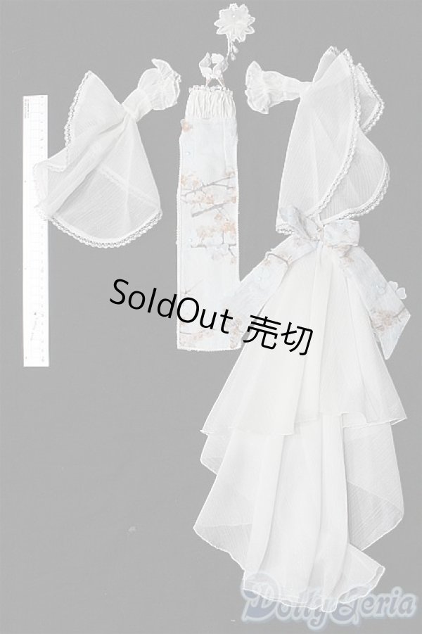 画像5: MDD/OF:衣装セット S-25-12-14-105-TO-ZS (5)