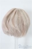 画像2: 4inch/ウィッグ S-25-12-14-272-TO-ZS (2)