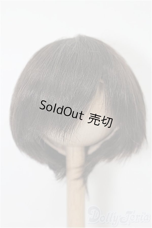 画像1: 6-7inch/ウィッグ S-25-12-14-286-TO-ZS (1)