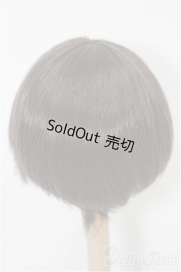画像2: 6-7inch/ウィッグ S-25-12-14-286-TO-ZS (2)