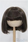 画像1: 8-9inch/ウィッグ S-26-02-01-349-TO-ZS (1)
