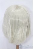 画像2: 9-10inch/ウィッグ S-25-12-14-287-TO-ZS (2)