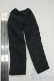 画像2: SDM＆MSD/OF:パンツ Y-25-12-17-230-TO-ZY (2)