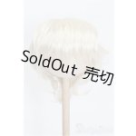画像: 8-9inch/ウィッグ S-26-01-18-190-YB-ZS