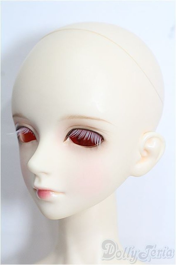 画像3: LUTS/Senior Delf EVELINE S-25-12-28-207-TO-ZS (3)