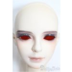 画像: LUTS/Super Senior Delf： LANDY S-26-01-25-115-TO-ZS