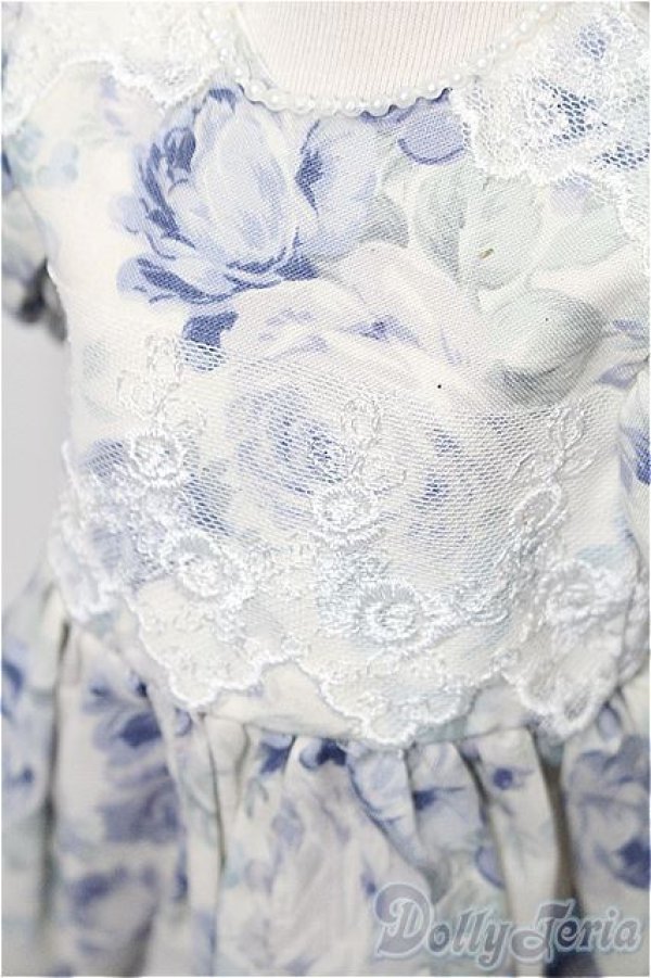 画像4: SD/OF:ワンピース S-25-12-21-181-TO-ZS (4)