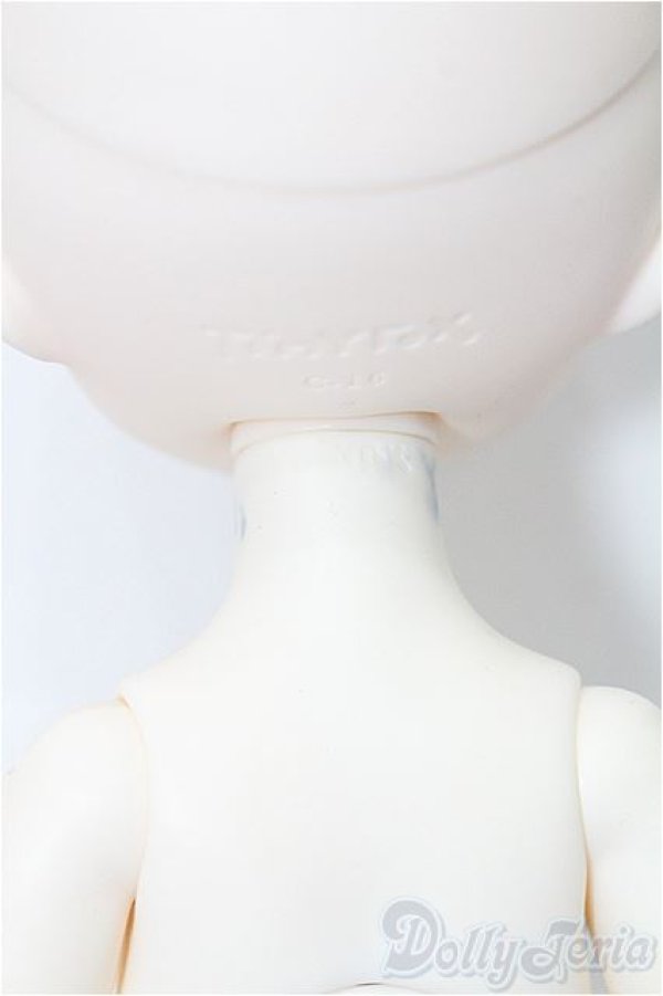 画像9: TinyFox/1/6/?中雀 カルディス  S-25-12-21-201-TO-ZS (9)