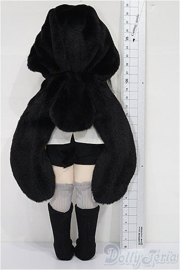 画像7: TinyFox/輝き夢見るペンギン デビー S-25-12-28-103-TO-ZS (7)