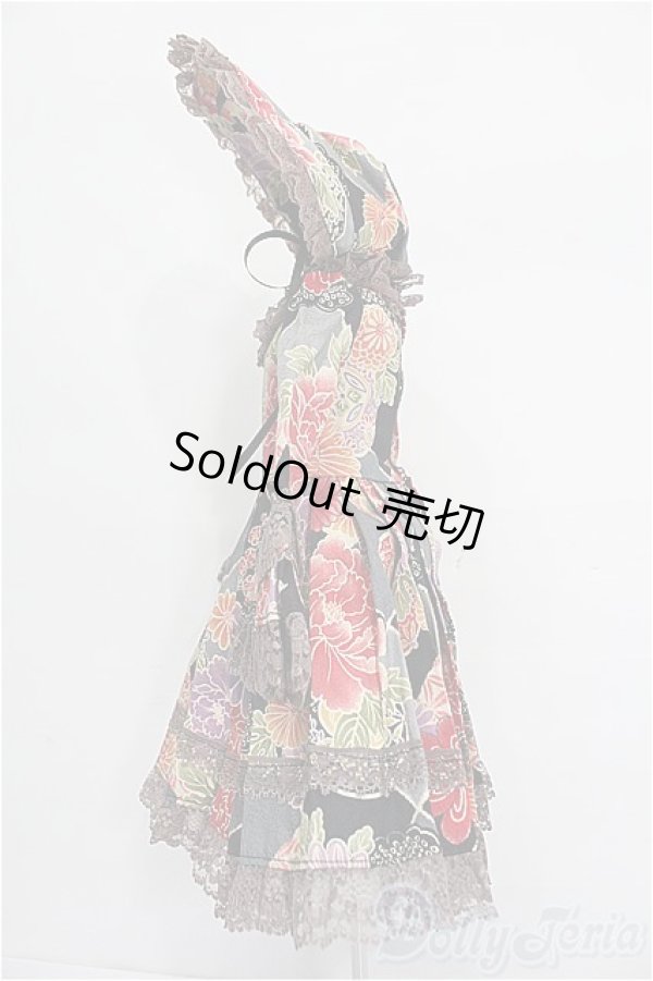 画像2: SD/OF:ドレス S-26-01-11-160-YB-ZS (2)