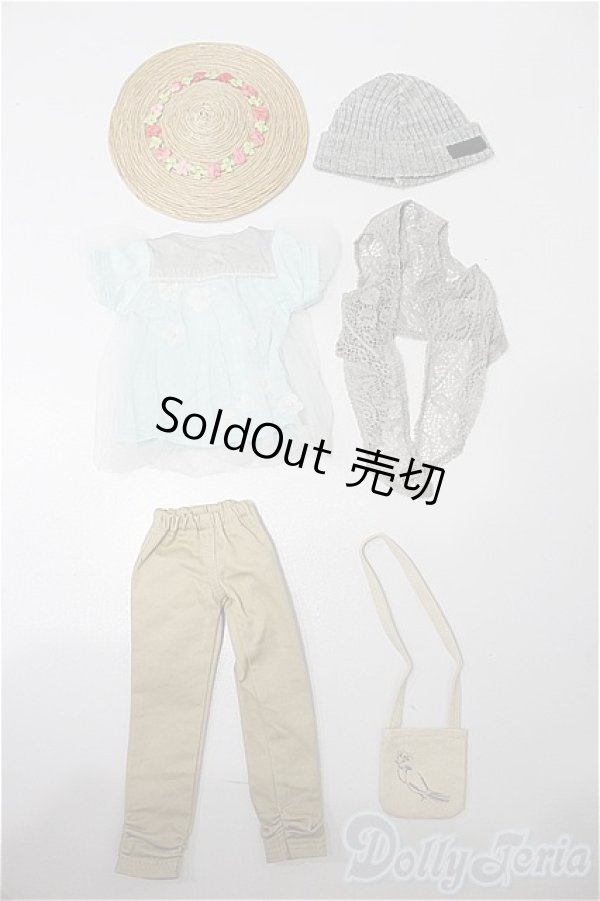 画像1: MSD&MDD/OF ナチュカジュコーデセットミニ(VOLKS製) S-26-01-25-287-TO-ZS (1)