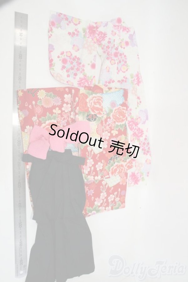 画像2: SD/OF 袴 Y-26-01-14-276-TO-ZY (2)